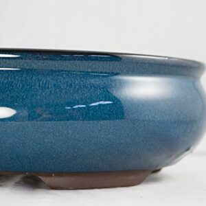 Oval Mame Shohin Bonsai/Cactus & Succulent Pot + Mesh 5"x 4"x 2" - Dark Blue Glazed