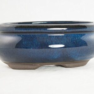 Oval Mame Shohin Bonsai/Cactus & Succulent Pot + Mesh 5"x 4"x 2" - Dark Blue Glazed