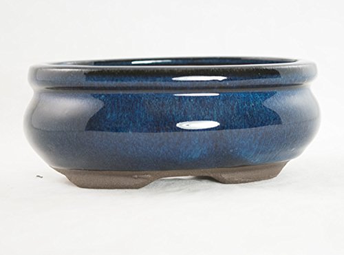 Oval Mame Shohin Bonsai/Cactus & Succulent Pot + Mesh 5"x 4"x 2" - Dark Blue Glazed