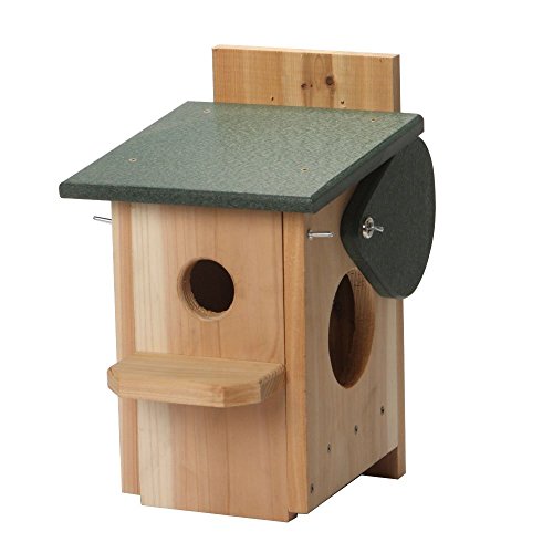 FMS Ravenox Sparrow and Starling Eliminator Trap | Starling Trap, Sparrow Trap | House Sparrow Trap for Eliminating Invasive, Non-Native Sparrows | Bird Trap with Sparrow Trap Door