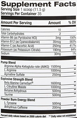 Rivalus, Powder Burn 2.0 Punch 30 Serving, Knockout Punch, 10.1 Ounce