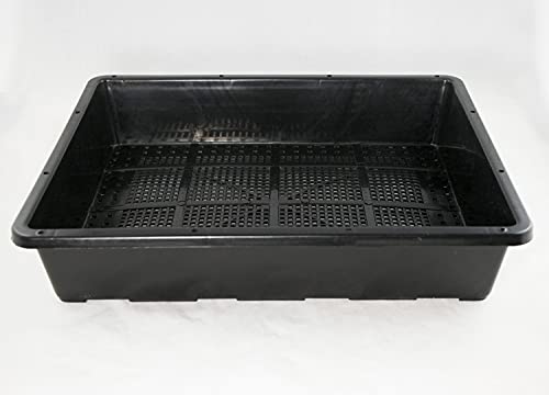 Calibonsai 2 x Black Plastic Tray for Propagation, Bonsai Forest/Group Planting 15"x 12"x 3"