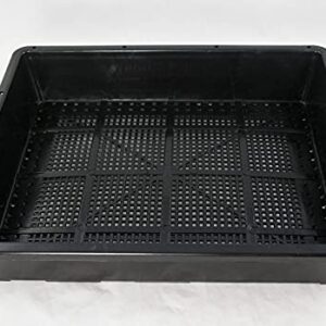 Calibonsai 2 x Black Plastic Tray for Propagation, Bonsai Forest/Group Planting 15"x 12"x 3"