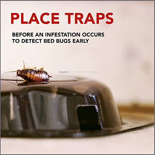 Raid Bed Bug Detector & Trap, 8 ct