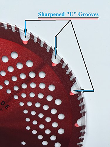 2pk-8"-56t - Renegade Razor/Hybrid - Multi-Purpose Specialty - RENEGADE BLADE® - Carbide Brush Cutter