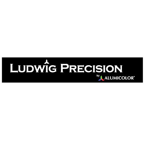 Ludwig Precision Non-Slip Backed Aluminum Straight Edge Ruler, 12-INCH, Silver