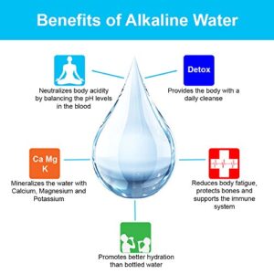 APEX Countertop Drinking Water Filter - Alkaline (White)