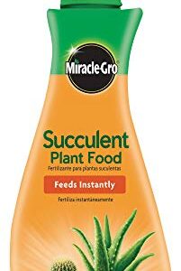 Scotts Succulent Plant Food, 8 oz., For Succulents including Cacti, Jade, And Aloe, 6 Pack