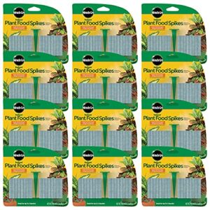 scotts indoor plant food spikes, includes 48 spikes - continuous feeding for all flowering and foliage houseplants - npk 6-12-6, 48 count (pack of 12)