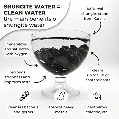 Karelian Heritage Elite Shungite Stones for Water Purification & Filtering 0,22 lb (0,01-0,03 lb per Stone) | Certified Type 1 Natural Authentic Shungite Stones from Karelia | Jewelry Making REB11