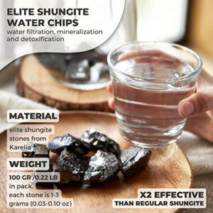 Karelian Heritage Elite Shungite Stones for Water Purification & Filtering 0,22 lb (0,01-0,03 lb per Stone) | Certified Type 1 Natural Authentic Shungite Stones from Karelia | Jewelry Making REB11