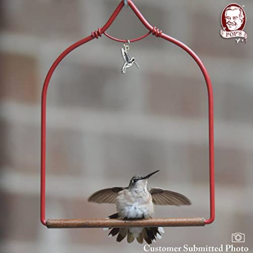 POP'S Birding, The Original Charm Hummingbird Swing for Outdoors - Perfect Bird Perch for Small Birds - Sturdy Steel Metal Swing Set with Hook Included