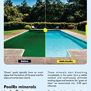 PoolRx 101067 Black Units Swimming-Pool-Algaecides (4 Pack), 20,000-30,000 Gallon