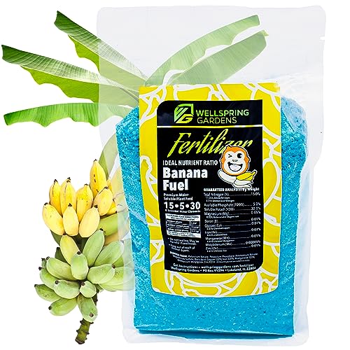 Wellspring Gardens Banana Fuel Fertilizer - Water-Soluble 15-5-30 Blend - Banana Plant Fertilizer - Plant Food - Formula for Banana Trees & Plants - Grow Healthy and Happy Plants (2 Pounds)