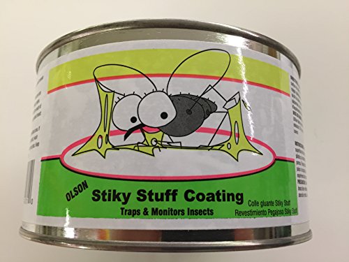 Olson Sticky Stuff Brush On Insect Trap Coating Safe Non-Toxic 1 Quart