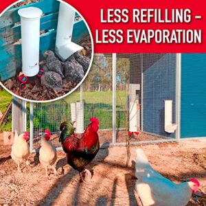 Royal Rooster Chicken Feeder and Waterer Set - Includes 1 Gallon Waterer with 2 Cups and 7lb Feeder for Chickens - Chicken Coop Accessories with Hanging Chicken Poultry Feeder and Chicken Waterer Kit