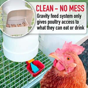 Royal Rooster Chicken Feeder and Waterer Set - Includes 1 Gallon Waterer with 2 Cups and 7lb Feeder for Chickens - Chicken Coop Accessories with Hanging Chicken Poultry Feeder and Chicken Waterer Kit