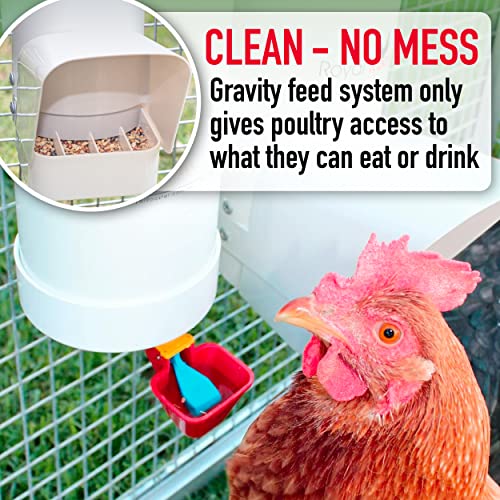 Royal Rooster Chicken Feeder and Waterer Set - Includes 1 Gallon Waterer with 2 Cups and 7lb Feeder for Chickens - Chicken Coop Accessories with Hanging Chicken Poultry Feeder and Chicken Waterer Kit