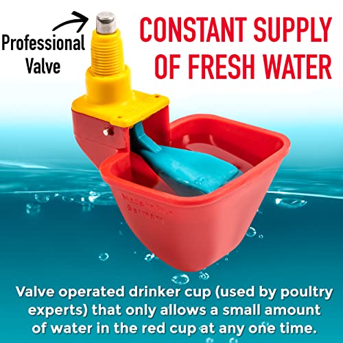 Royal Rooster 1 Gallon Automatic Twin Chicken Waterer with 2 Gravity-Feed Valve-Operated Drinking Cups - Indoor and Outdoor Coop Hanging Chicken, Duck and Poultry Water Dispensing System