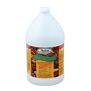 medina 6-12-6 hastagro plant, 1 gallon