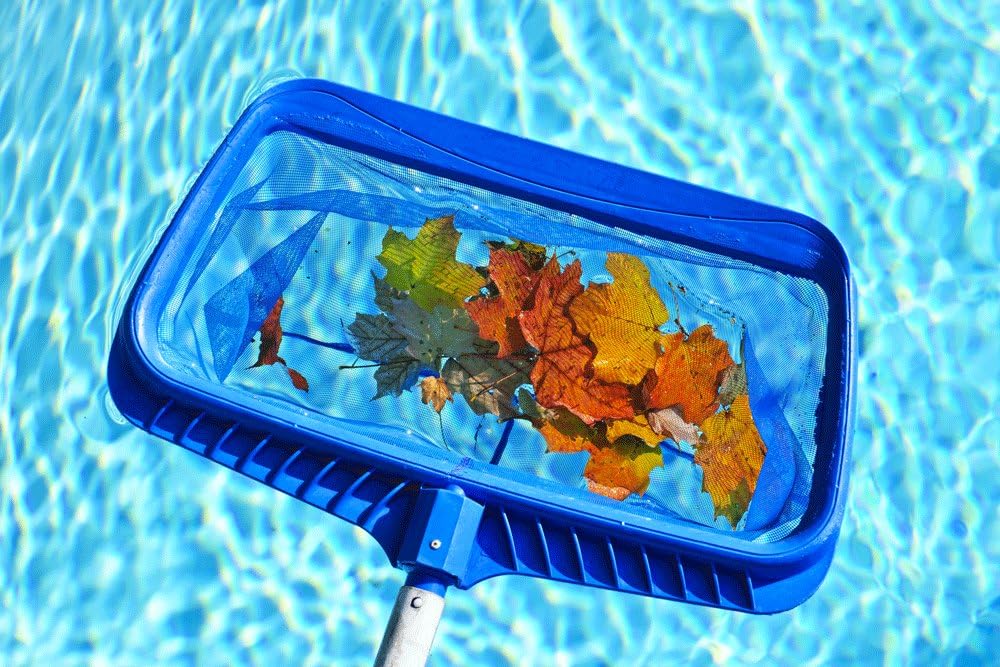 SplashTech Plastic Pool Leaf Rake Head, 20 x 16.5 Large Deep Bag - Pool Rake Head for Standard 1.25" Telescoping Pole - Durable Poly Mesh Pool Cleaning Net for Leaves, Bugs, or Debris