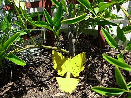 21C 21 Century Solutions Yellow Dual Sticky Fly Traps 10-Pack for Gnat Whiteflies Fungus Gnats Flying Insects - Houseplant Disposable Glue Trappers Save a Garden Butterfly Shape