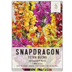 seed needs, mixed tetra snapdragon seeds - 1,000 heirloom seeds for planting antirrhinum majus - annual flowers to attract butterflies, bumblebees, honeybees & other pollinators (1 pack)