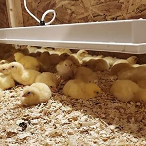 SWEETER HEATER Safe Heater for Chicks, Coops, & Animals, OH11x40, 150 Watt