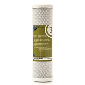 avanti membrane technology stage 3 carbon block filter for under-sink ro filtraiton drinking water system - nsf certified, 5 micron, 10 inch, 2.5" od x 1.1" id x 9-7/8" l (cbf-1025-05)