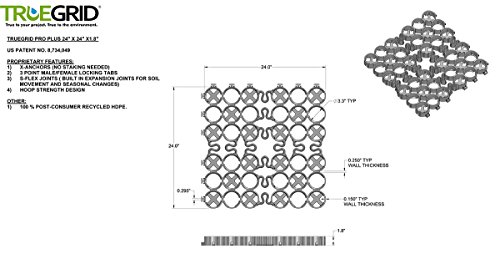TRUEGRID | PRO Plus Permeable Pavers | Designed for Roads, Parking Lots, Stables | Outdoor Pavers | 1.8" Depth, 250,000+ lb Load Class | Pack of 10 (40 Square Feet)