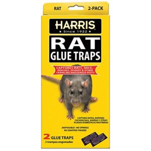 harris rat glue traps, fully disposable (2-pack)