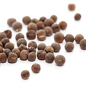 Earthcare Seeds Fragrant Sweet Peas 100 Seeds Royal Family (Lathyrus odoratus)