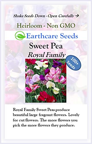 Earthcare Seeds Fragrant Sweet Peas 100 Seeds Royal Family (Lathyrus odoratus)