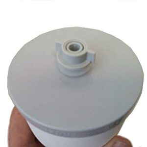 Ceramic Dome Water Filter Element with Silver Purification (10)