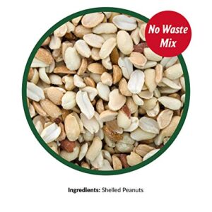 Lyric Peanut Pieces Wild Bird Seed - No Waste Bird Food - Attracts Titmice, Woodpeckers, Chickadees & More - 15 lb bag