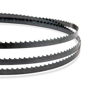 POWERTEC 93-1/2 Inch Bandsaw Blades for Woodworking, 3/16" x 10 TPI Band Saw Blades for Delta, Grizzly, Rikon, Sears Craftsman, JET, Shop Fox and Rockwell 14" Band Saw, 1 pack (13117)