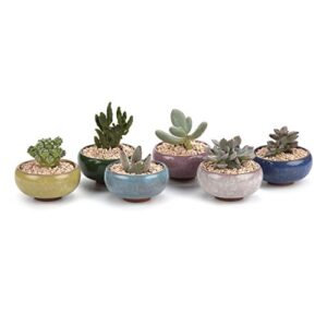 t4u 2.5 inch small ceramic succulent planter pot with drainage hole set of 6, ice crack glaze porcelain handicraft plant container gift for mom sister aunt best for home office desk decoration