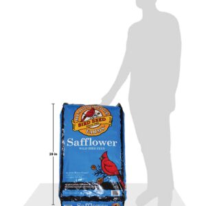 Meadow Ridge Farms Safflower Bird Seed, 20-Pound Bag