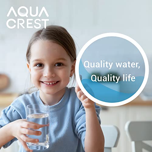 AQUA CREST FQSLF, FQSVF Under Sink Water Filter, Replacement for GE FQSLF, FQSVF, FQSVN, FQROPF, GXSV65R Undersink Water Filter, NSF 42 Certified (2 Pack), Model no.AQU-FF23-LF