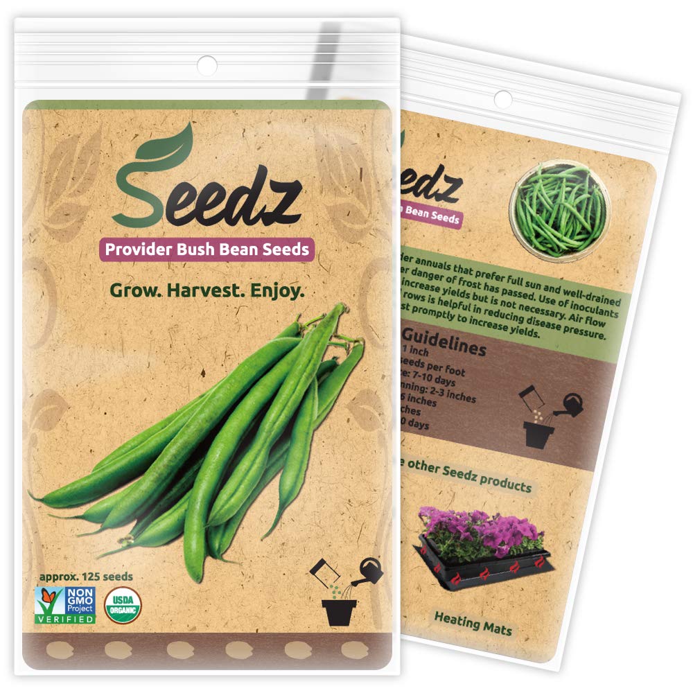 Organic Green Bean Seeds, APPR. 125, Green Bean, Heirloom Vegetable Seeds, Certified Organic, Non GMO, Non Hybrid, USA