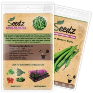 Organic Green Bean Seeds, APPR. 125, Green Bean, Heirloom Vegetable Seeds, Certified Organic, Non GMO, Non Hybrid, USA