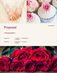 proposal pack wedding #4 - business proposals, plans, templates, samples and software v20.0