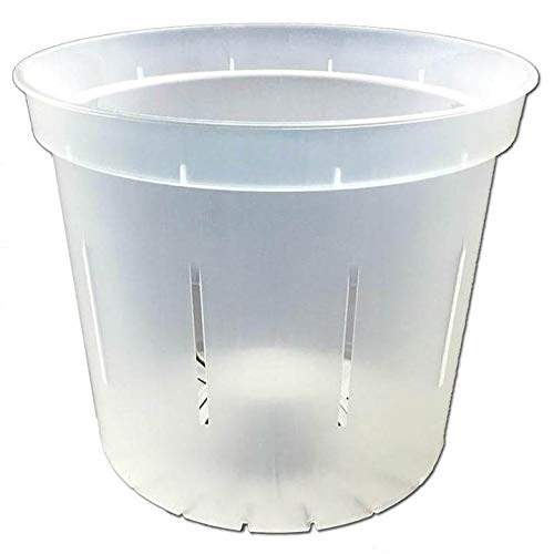 rePotme 6 inch Orchid Pot 3 Pack - Slotted Orchid Pots with Holes for Repotting (Crystal Clear)