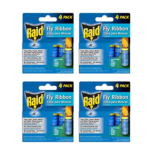 Raid® Fly Ribbon, Fly Traps for Indoors and Outdoors, 4 Pack