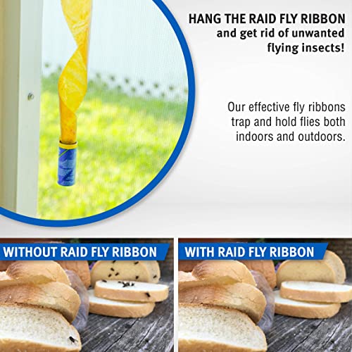 Raid® Fly Ribbon, Fly Traps for Indoors and Outdoors, 4 Pack