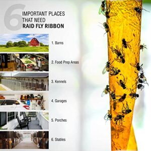 Raid® Fly Ribbon, Fly Traps for Indoors and Outdoors, 4 Pack