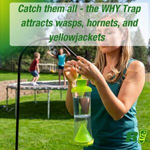 RESCUE! Non-Toxic Wasp, Hornet, Yellowjacket Trap (WHY Trap) Attractant Refill - 2 Week Refill
