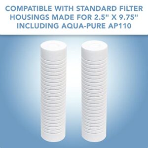 CFS – 2 Pack Universal Fine/Normal Sediment Water Filter Cartridges Compatible with AP110 Models, AO-WH-PREV-R2 – Remove Bad Taste & Odor – Whole House Replacement Filter Cartridge – 5 Micron