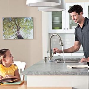 Moen 87359E2SRS Delaney One-Handle High Arc Pulldown Kitchen Faucet, Spot Resist Stainless