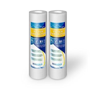 1 micron sediment water filter cartridge 2 pack replacement set well-matched with p5, ap110, wfpfc5002, cfs110, rs14, whkf-gd05